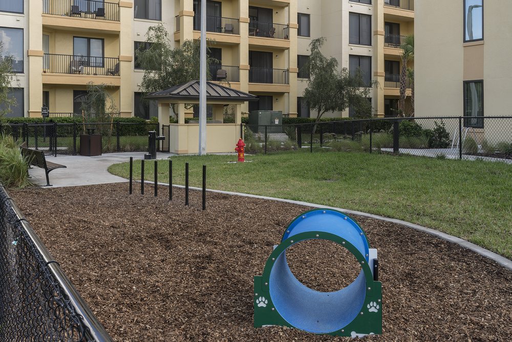 DWELL APARTMENTS 27 Photos & 14 Reviews 8700 Maitland Summit Blvd