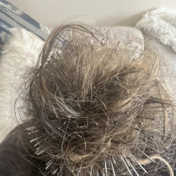 Beehive Salon - Tangle once it dried and matted - Hair Salons Near Me - Seattle, Washington