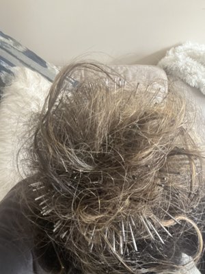 Photo of Beehive Salon - Seattle, WA, US. Tangle once it dried and matted