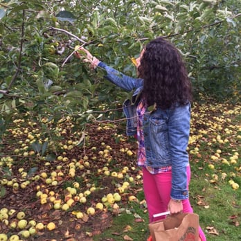 Battleview Orchards - Apple picking - Pick Your Own Farms Near Me - Freehold, New Jersey