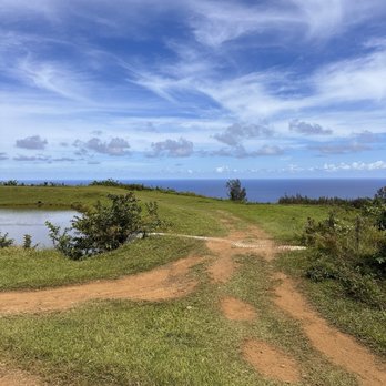 Waipi'o On Horseback - Horseback Riding Near Me - Honokaa, Hawaii