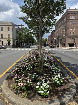 Hotel Heron Old Town Alexandria by null