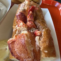 Lobster roll