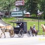 Photo of Hopwood Motel