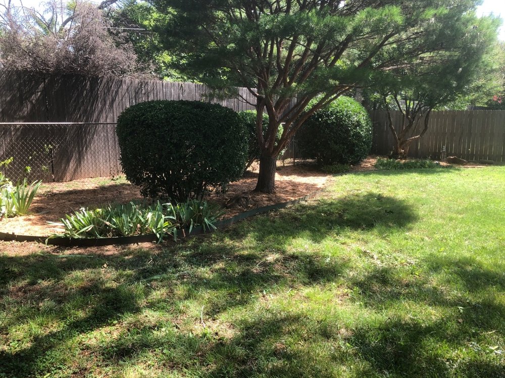 OKC Green Tree & Lawn Service - tree service in Oklahoma City, OK
