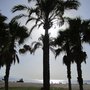 Photo of Playa de la Misericordia