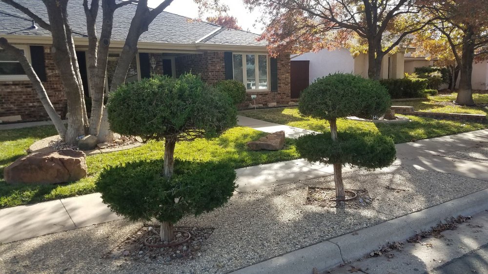 Slide of True Care Services