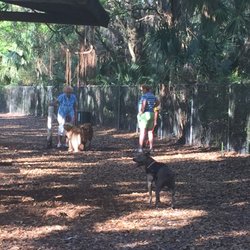 Woodmere Park - Watering hole