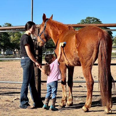 4 Horse Ranch by null