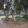 Photo of Collins Park