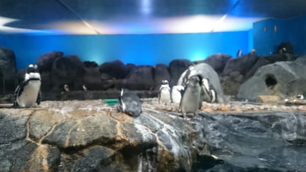 Underwater World Langkawi by null