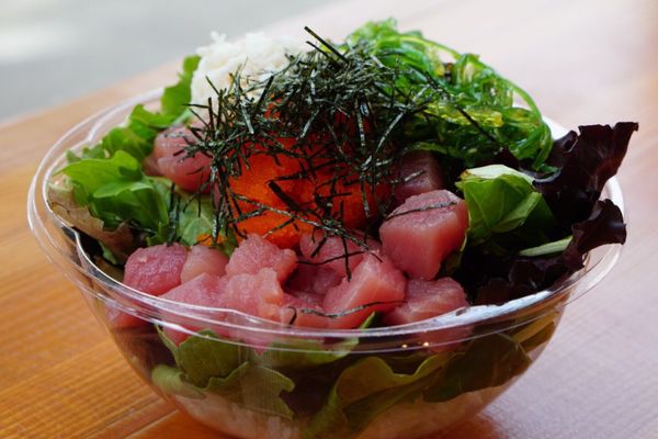 Poke Square Ballard by null