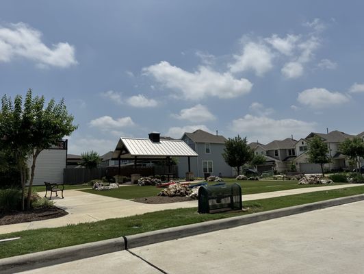 That's My Dog by null