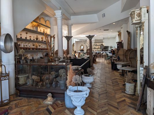 The Buttonwood by null