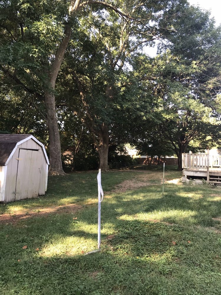 Davey Jones Tree Service - tree service in Springfield, MO