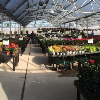 Calloway's Nursery - Nurseries & Gardening Near Me - Mansfield, Texas Calloway's Nursery - Nurseries & Gardening Near Me - Mansfield, Texas