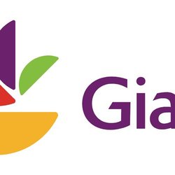 Giant Grocery Store