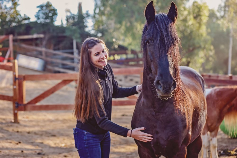 Emma Lee Horsemanship - equestrian in Queen Creek, AZ