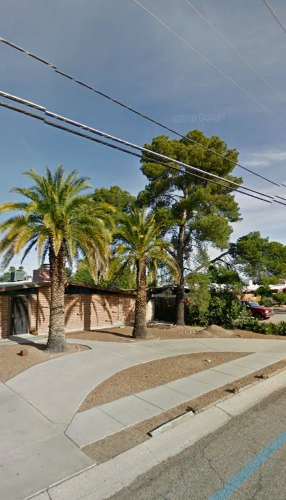 George Scaff Tree Service - tree service in Tucson, AZ