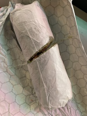 Let's Roll PDX - Moxy by null