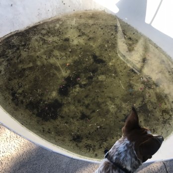 FirstKey HOMES - Water continues to get worse even after multiple requests to fix this issue. 12/17/19 - Property Management Near Me - Phoenix, Arizona