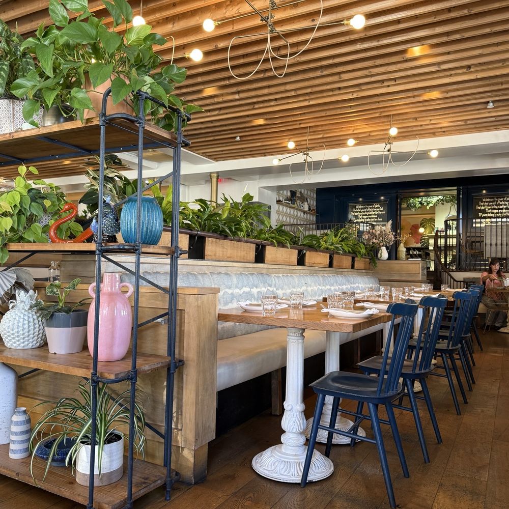 Wildseed - Interior during a midday lull - Vegan Near Me - San Francisco, California Wildseed - Interior during a midday lull - Vegan Near Me - San Francisco, California