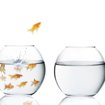Wilder Management - Real Estate Services Near Me - Lake Forest, Illinois Wilder Management - Real Estate Services Near Me - Lake Forest, Illinois
