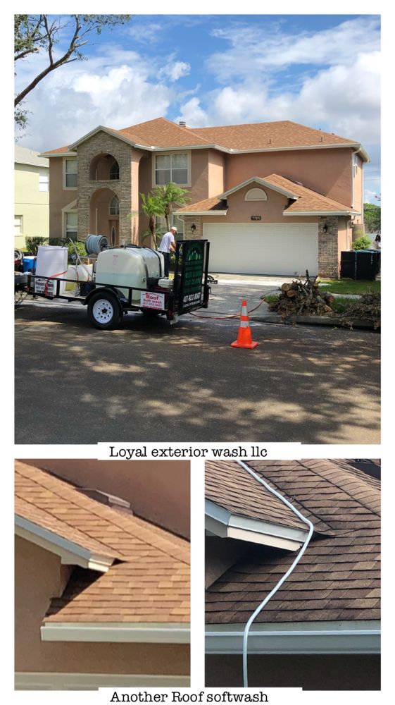 Slide of Loyal Exterior Wash