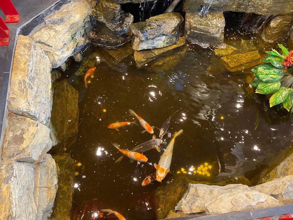 MANDARIN RESTAURANT Updated October 2024 16 Photos & 20 Reviews