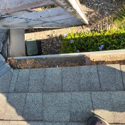 Anchor Roofing - Neglected gutters