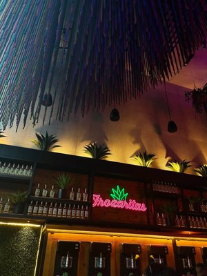 Pilo's Tequila Garden by null