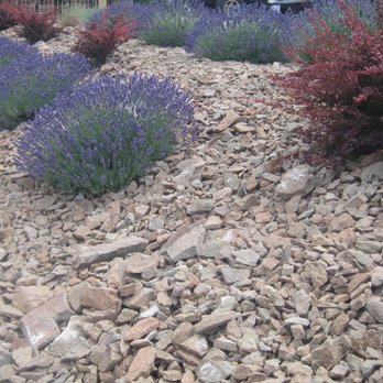 Wild Goose - Wineries Near Me - Okanagan Falls, British Columbia Wild Goose - Wineries Near Me - Okanagan Falls, British Columbia