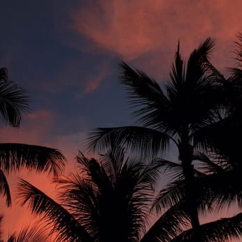 Waikiki Beach - Sunrise - Beaches Near Me Waikiki Beach - Sunrise - Beaches Near Me