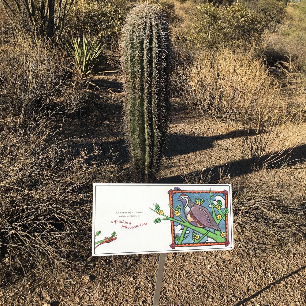 Pinnacle Peak Park - So very Arizona. - Hiking Near Me - Scottsdale, Arizona Pinnacle Peak Park - So very Arizona. - Hiking Near Me - Scottsdale, Arizona