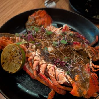 Modan - Sushi Bars Near Me - Tysons, Virginia Modan - Sushi Bars Near Me - Tysons, Virginia