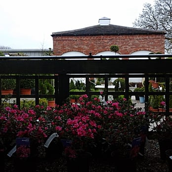 Hollybush Garden Centre & Aquaria - Nurseries & Gardening Near Me - Wolverhampton, ABE