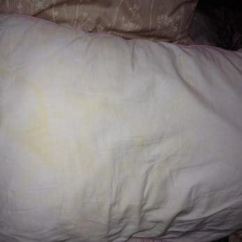 Bodega Bay & Beyond Vacation Home Rentals - These were the actual pillows left on our bed to use at the Devon House; urine stained? - Property Management Near Me - Bodega Bay, California Bodega Bay & Beyond Vacation Home Rentals - These were the actual pillows left on our bed to use at the Devon House; urine stained? - Property Management Near Me - Bodega Bay, California