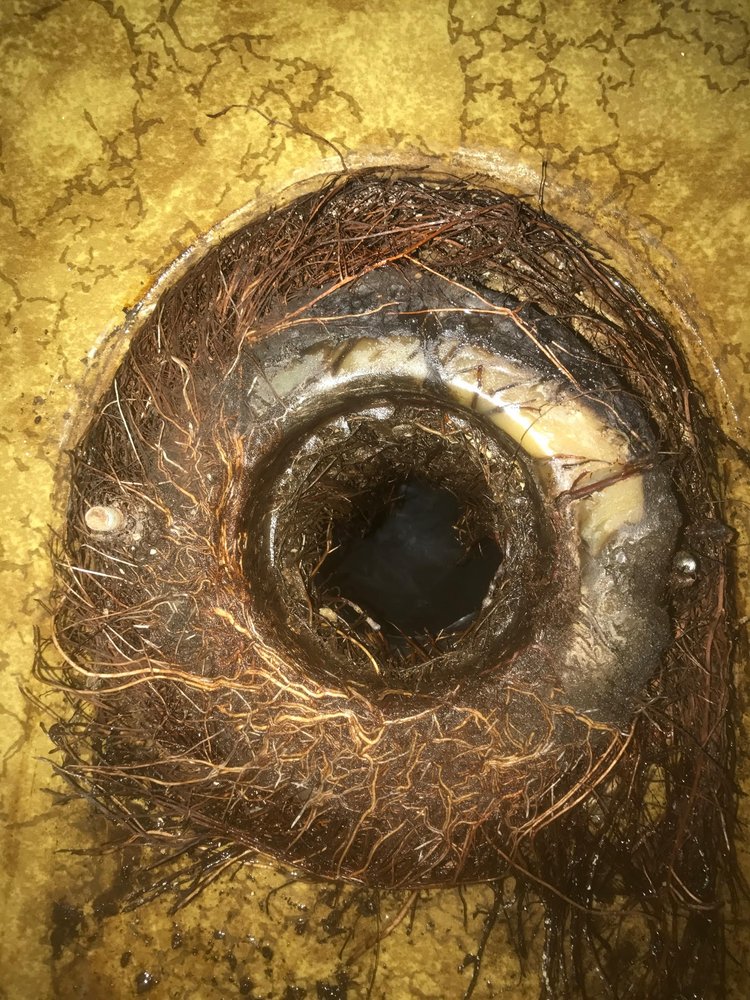 Slide of All About Rooter