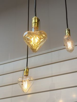 The Ripped Bodice by null