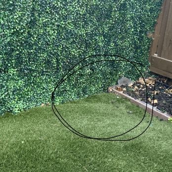 Superior Improvements - gopher never fixed - Artificial Turf Near Me - Vallejo, California