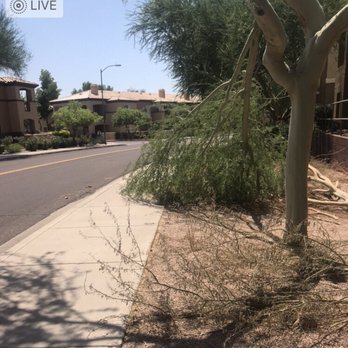 Inspiration at Frank Lloyd Wright - This is also a regular typical weekly occurrence (walk your dog at your own risk!) - Apartments Near Me - Scottsdale, Arizona