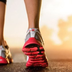 Active Chiropractic Family Health Centre