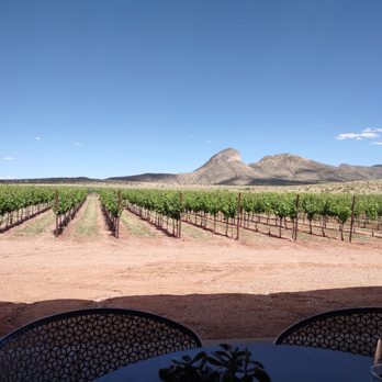 Los Milics Vineyards - Awesome view - Wine Tasting Room Near Me - Elgin, Arizona