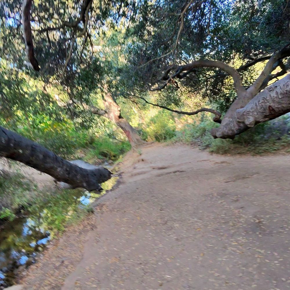 Escondido Canyon Park - Hiking Near Me - Malibu, California Escondido Canyon Park - Hiking Near Me - Malibu, California