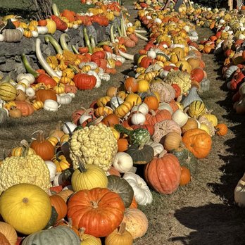 Mack's Apples - Fruits & Veggies Near Me - Londonderry, New Hampshire Mack's Apples - Fruits & Veggies Near Me - Londonderry, New Hampshire