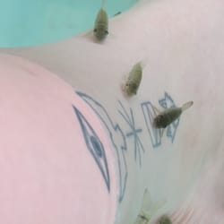 Spa Fish