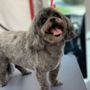 Photo of Tails N Wheels Mobile Dog Grooming