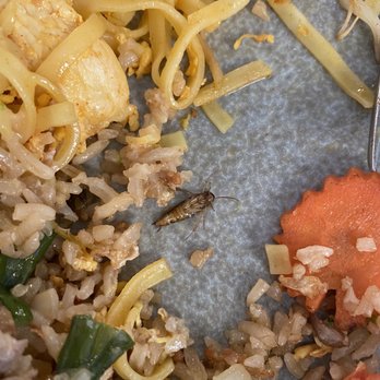 Tasty Thai - Thai Near Me - Denver, Colorado Tasty Thai - Thai Near Me - Denver, Colorado
