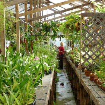 Shelldance Orchid Gardens - Nurseries & Gardening Near Me - Pacifica, California