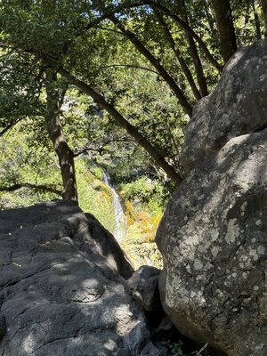 Salmon Creek Falls by null